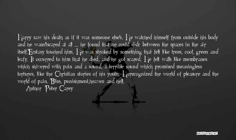 Peter Carey Bliss Quotes By Peter Carey
