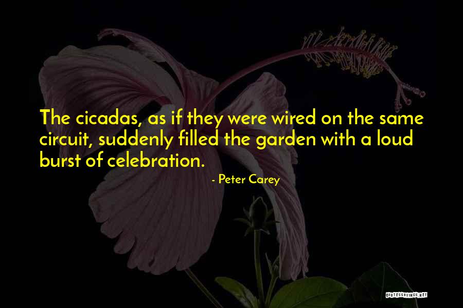 Peter Carey Quotes 1000075