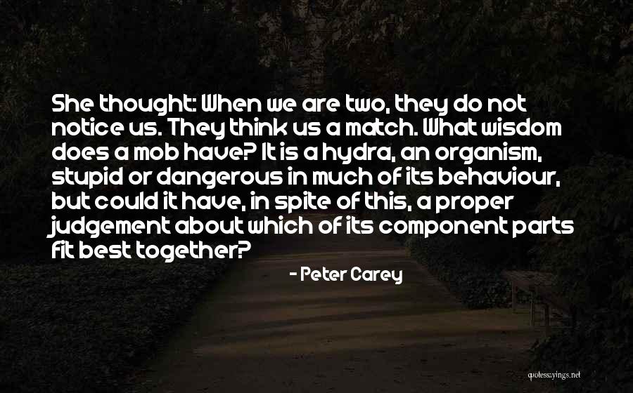 Peter Carey Quotes 1378884