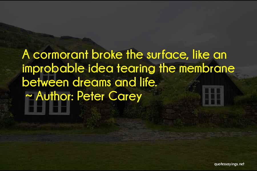 Peter Carey Quotes 1444267