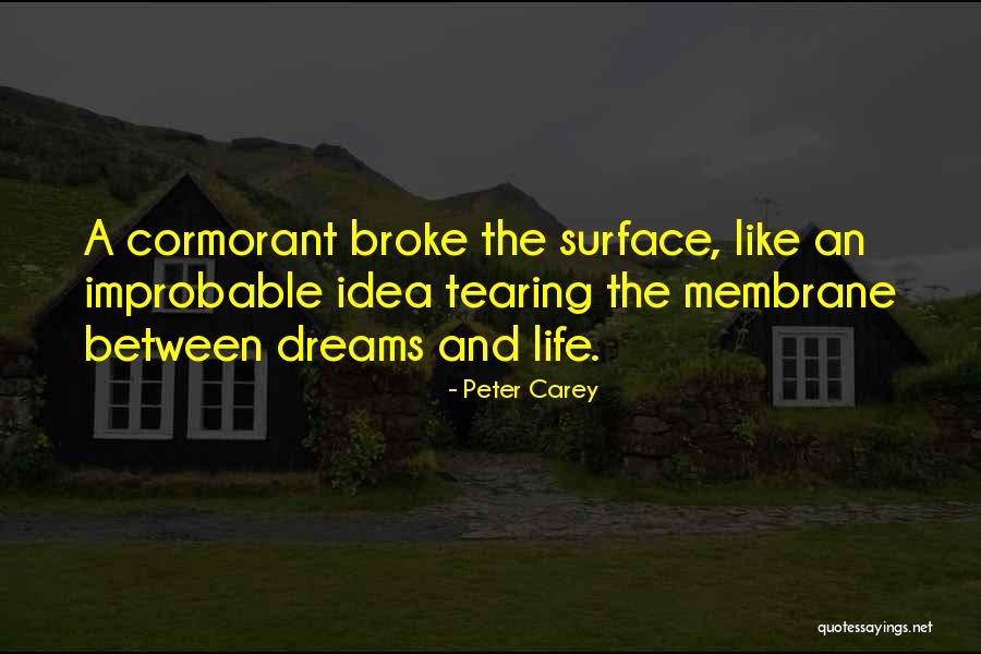 Peter Carey Quotes 1444267 Peter Carey Quotes 1444267