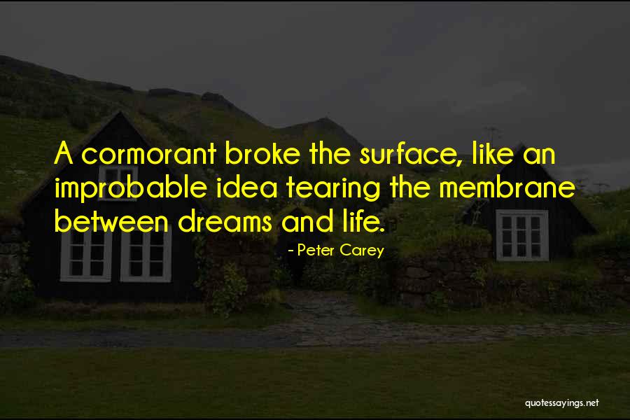 Peter Carey Quotes 1444267