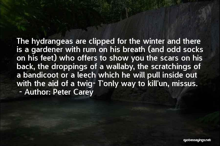 Peter Carey Quotes 1713894