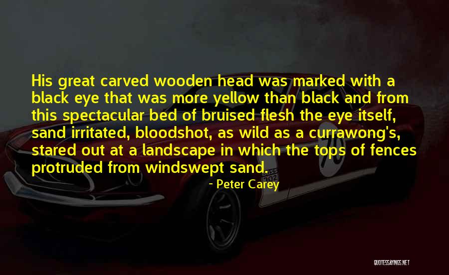 Peter Carey Quotes 2246043 Peter Carey Quotes 2246043