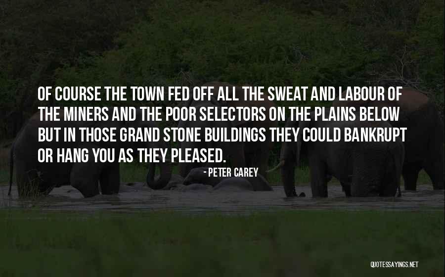 Peter Carey Quotes 279368