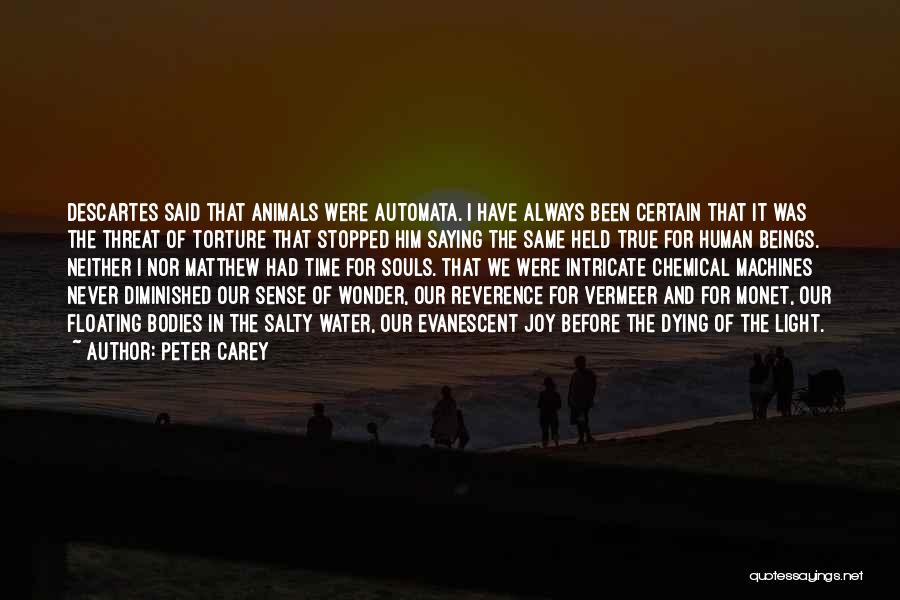 Peter Carey Quotes 526064