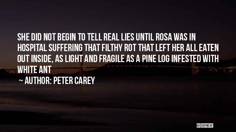 Peter Carey Quotes 847582