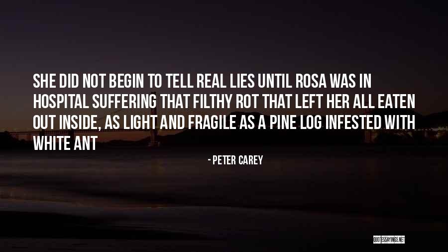 Peter Carey Quotes 847582 Peter Carey Quotes 847582
