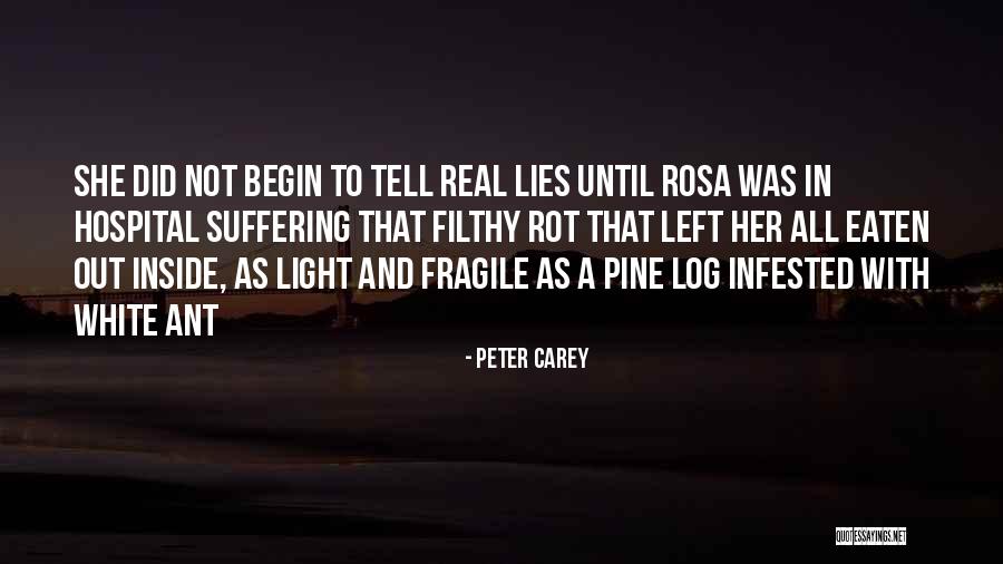 Peter Carey Quotes 847582