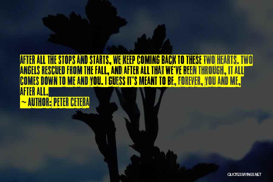 Peter Cetera Quotes 1660422