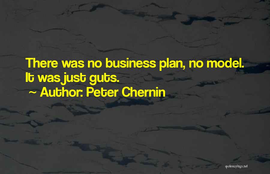 Peter Chernin Quotes 400982