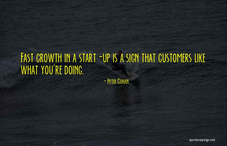 Peter Cohan Quotes 547093