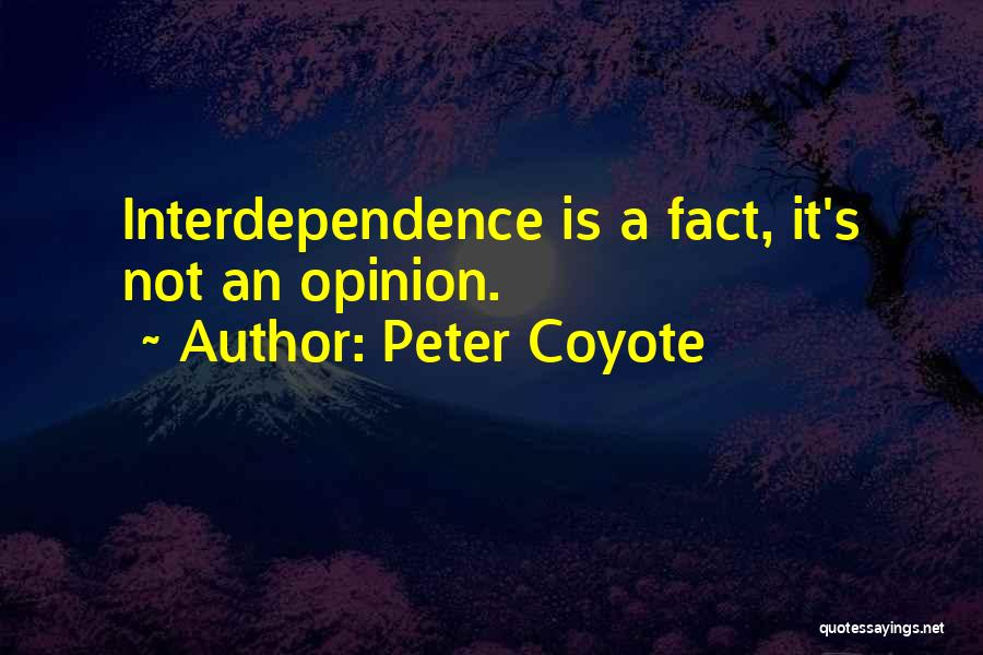 Peter Coyote Quotes 1509581