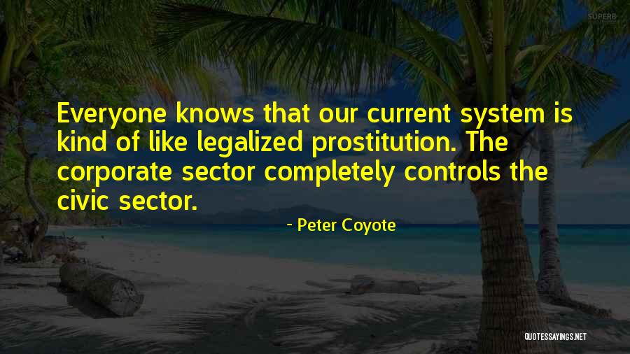 Peter Coyote Quotes 1613387