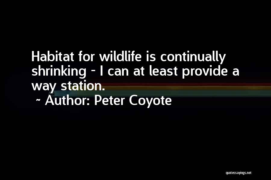 Peter Coyote Quotes 1782660