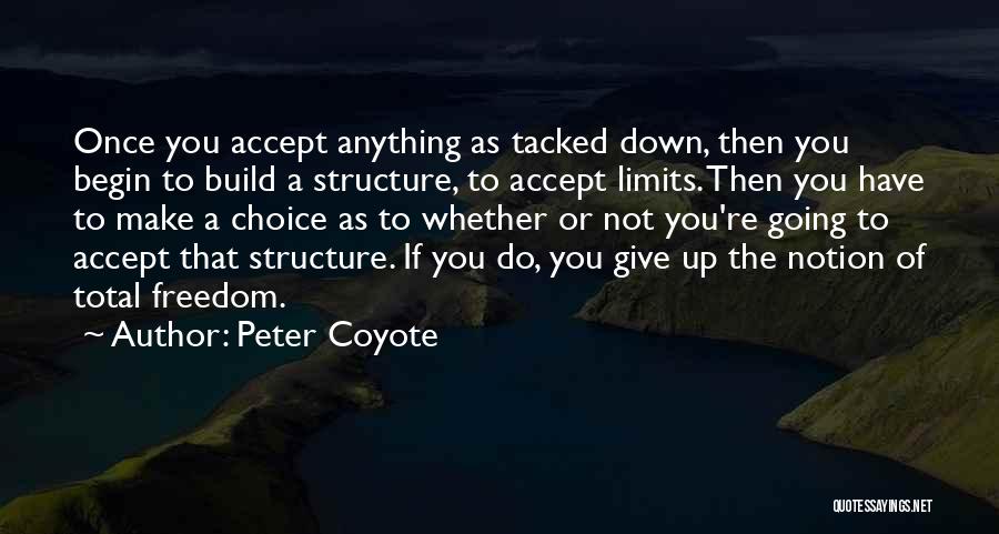 Peter Coyote Quotes 1866740
