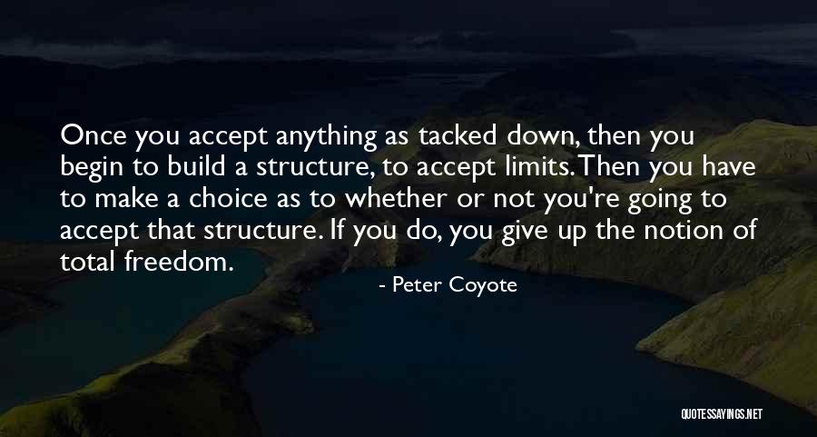 Peter Coyote Quotes 1866740