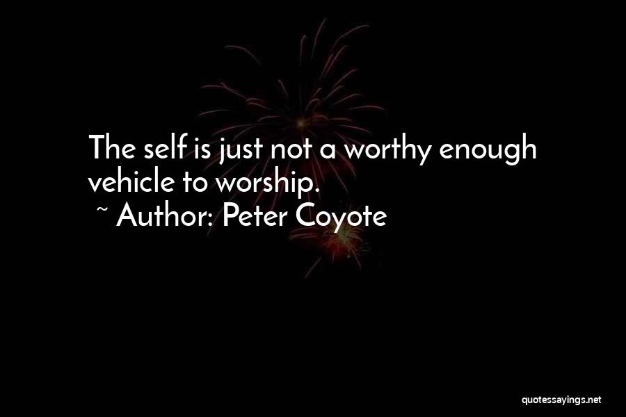 Peter Coyote Quotes 1998670