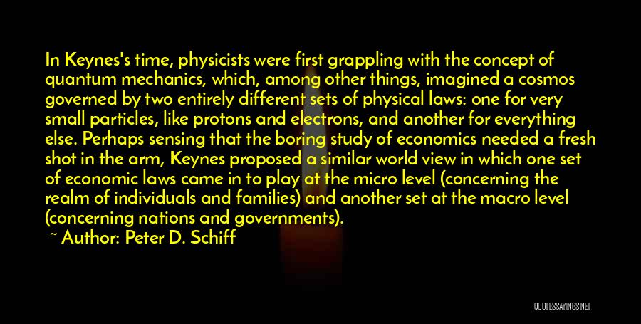 Peter D. Schiff Quotes 2079125