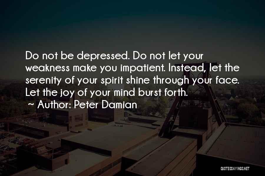 Peter Damian Quotes 1790923