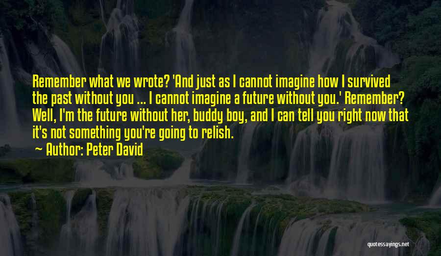 Peter David Quotes 170661