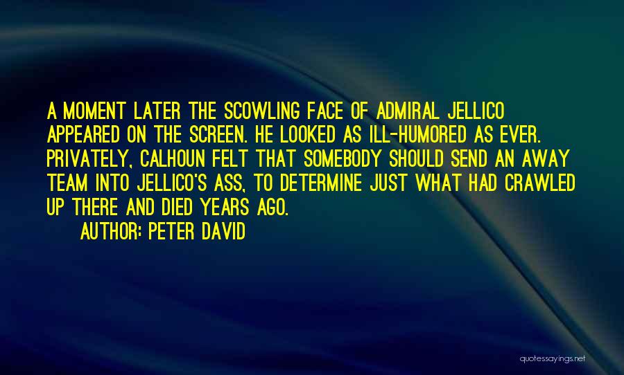 Peter David Quotes 243031