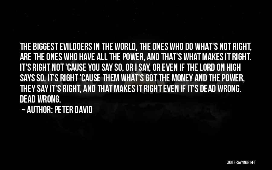 Peter David Quotes 453994