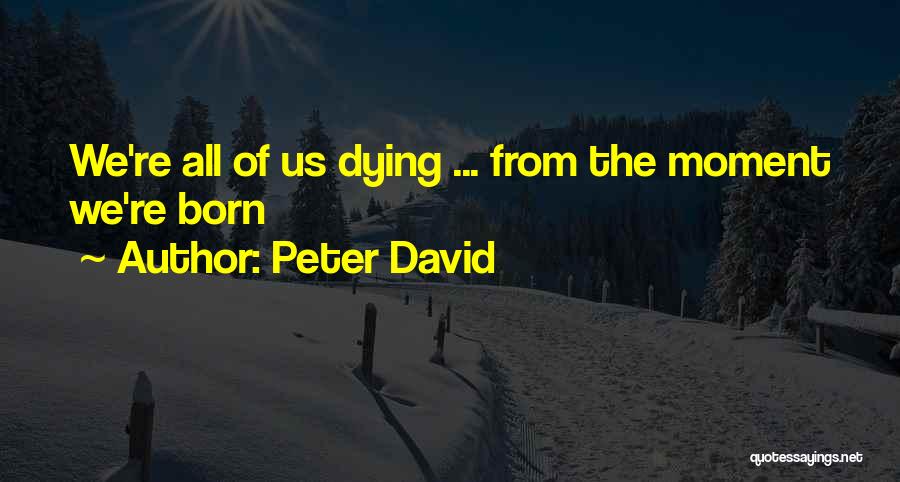 Peter David Quotes 617985