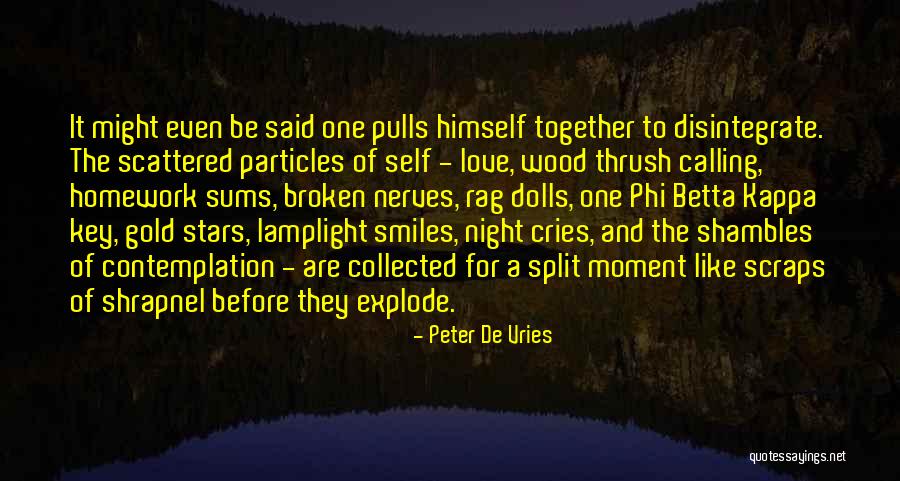 Peter De Vries Quotes 372019 Peter De Vries Quotes 372019