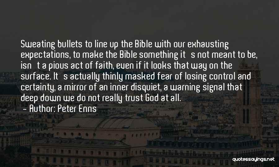 Peter Enns Quotes 694676