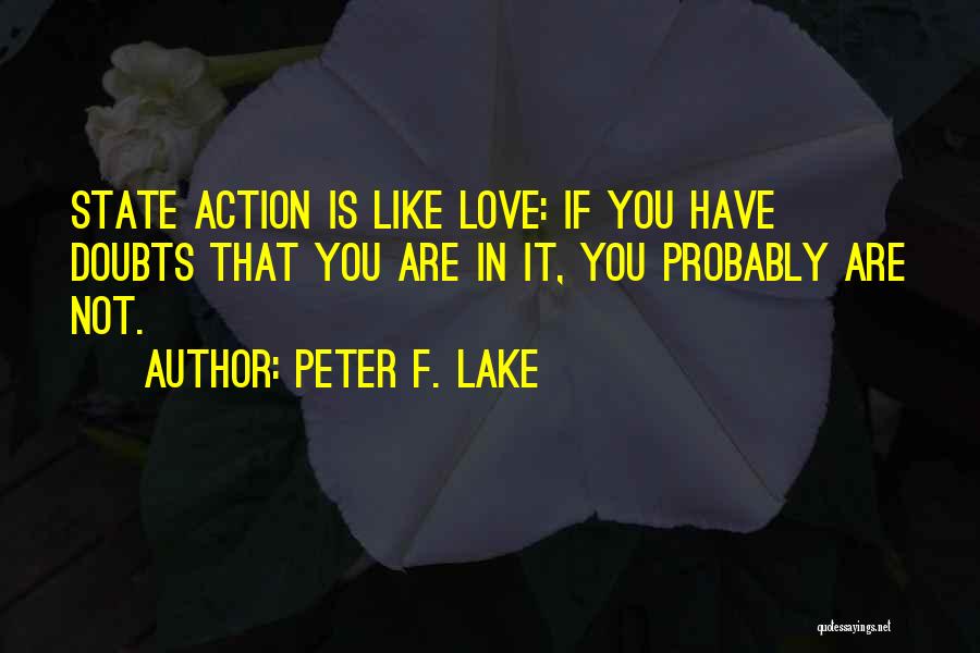 Peter F. Lake Quotes 1999514