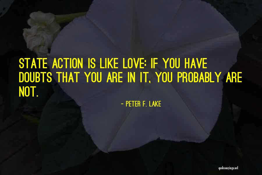 Peter F. Lake Quotes 1999514