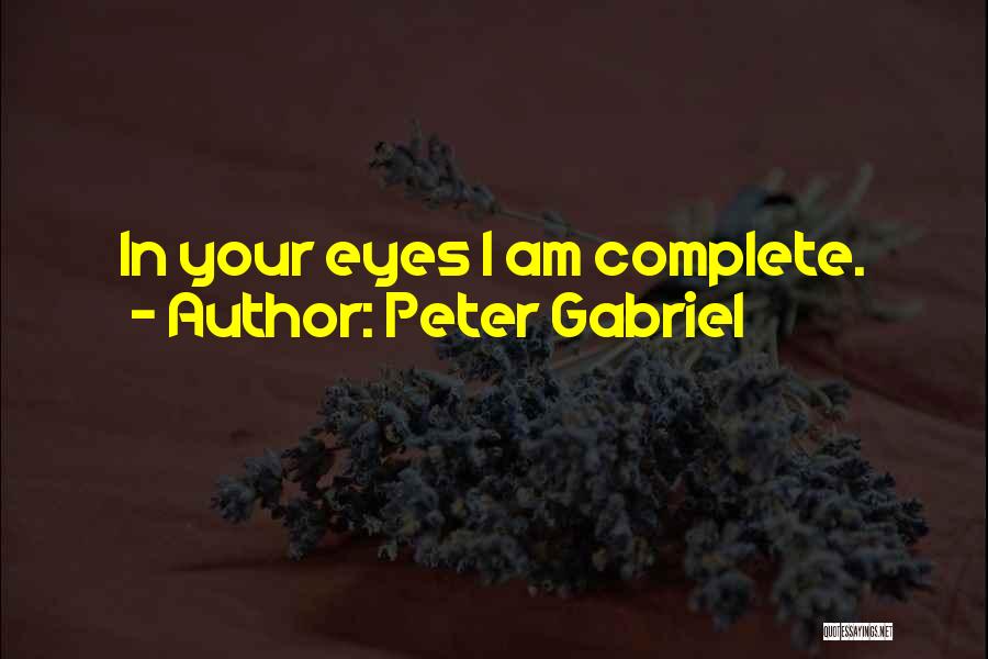 Peter Gabriel Quotes 2003030