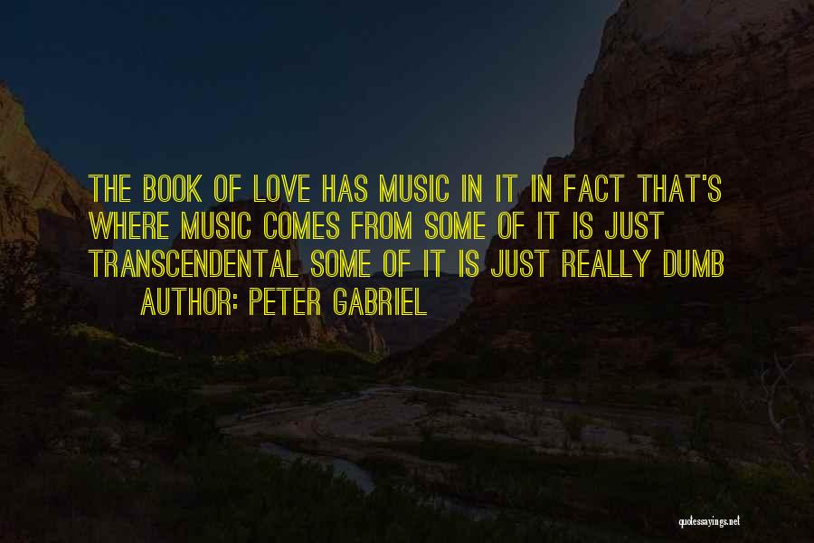 Peter Gabriel Quotes 742082