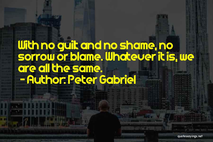 Peter Gabriel Quotes 938174