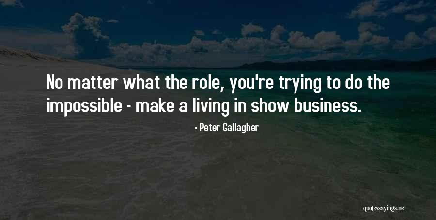 Peter Gallagher Quotes 2237633