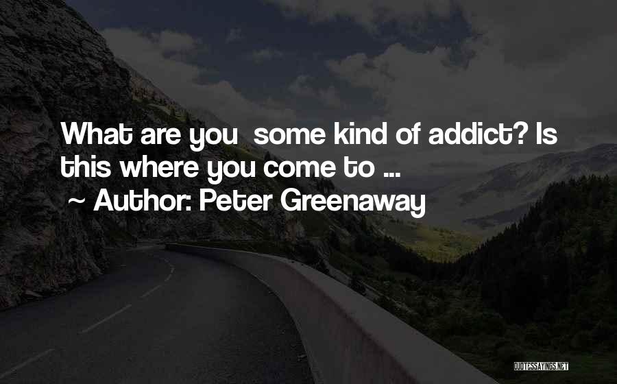 Peter Greenaway Quotes 1025804