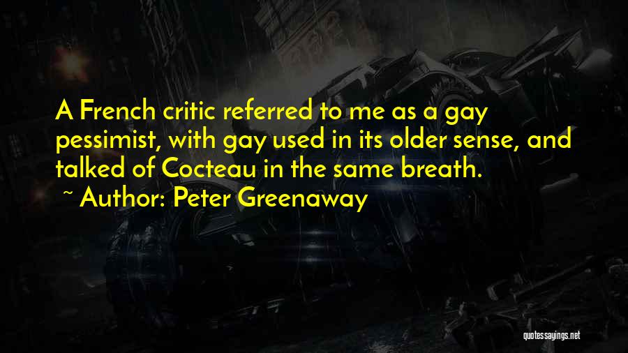 Peter Greenaway Quotes 1282313