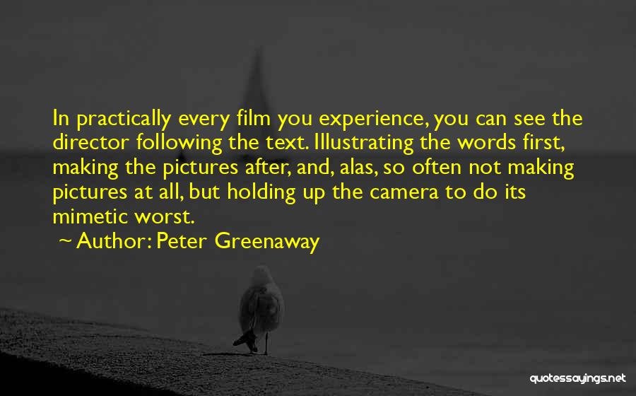 Peter Greenaway Quotes 1732503