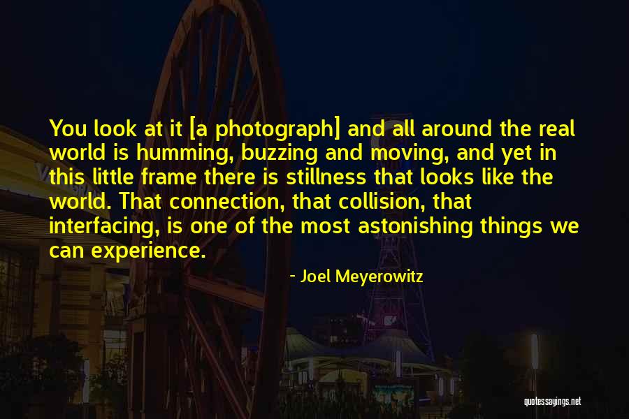 Peter Griffin Surfin Bird Quotes By Joel Meyerowitz Peter Griffin Surfin Bird Quotes By Joel Meyerowitz