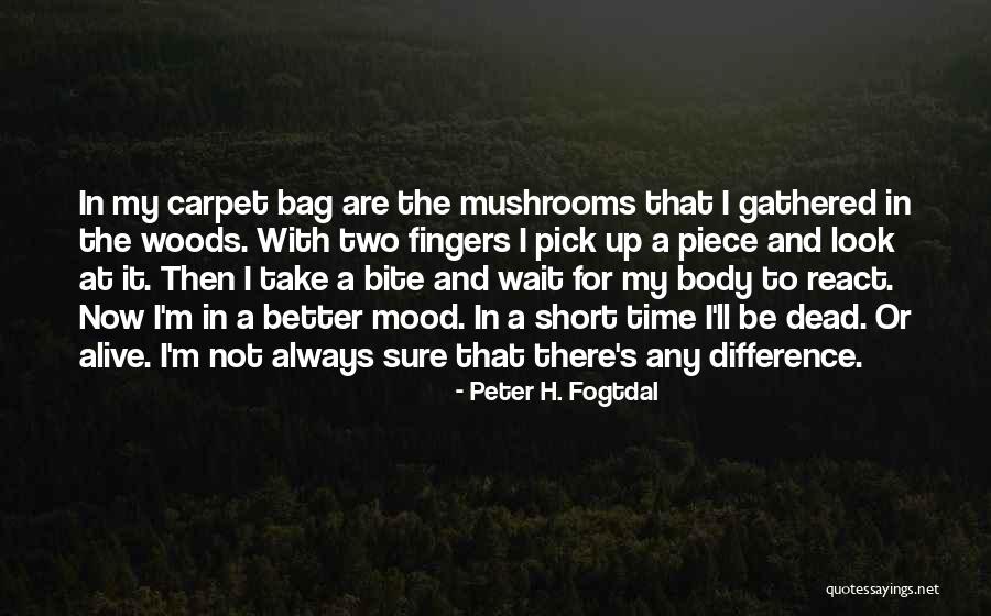 Peter H. Fogtdal Quotes 1464437