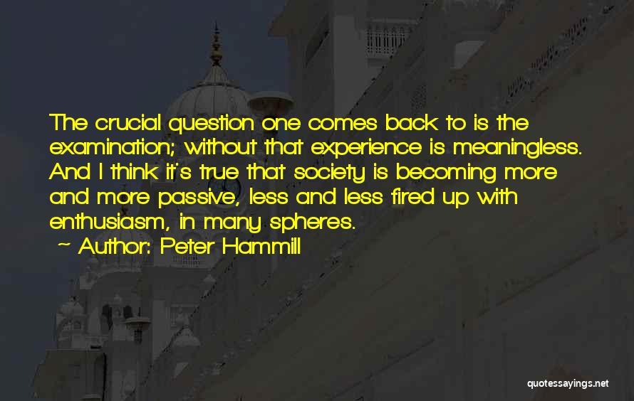 Peter Hammill Quotes 1219921