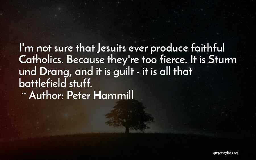 Peter Hammill Quotes 1880262