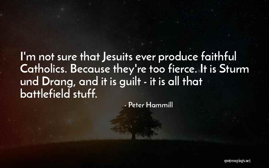 Peter Hammill Quotes 1880262