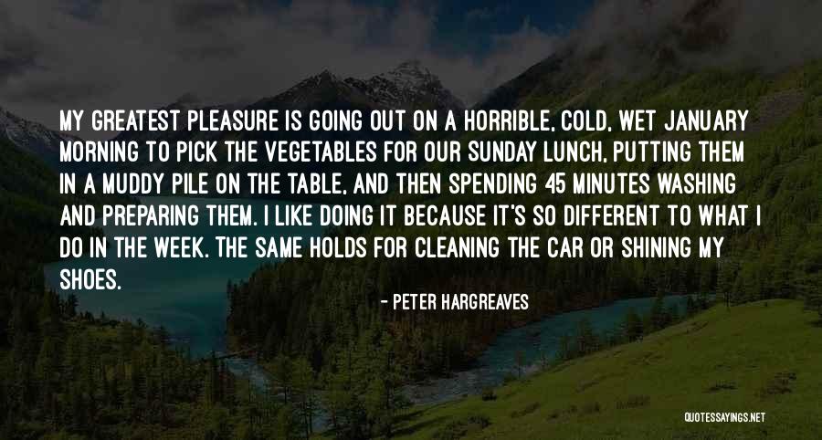 Peter Hargreaves Quotes 704755