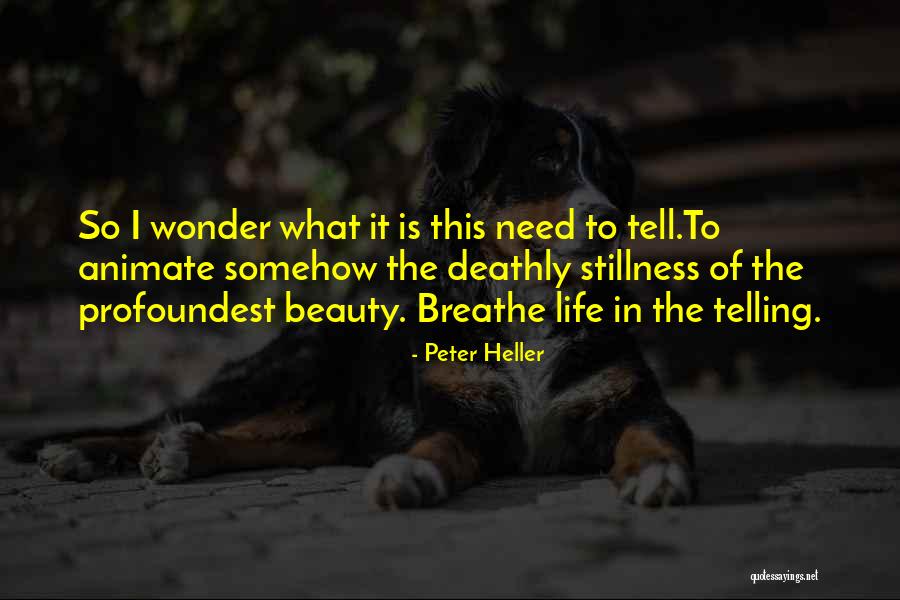 Peter Heller Quotes 1649082 Peter Heller Quotes 1649082