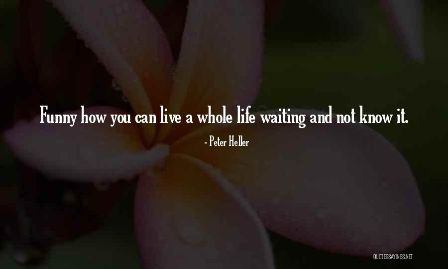 Peter Heller Quotes 1775307 Peter Heller Quotes 1775307