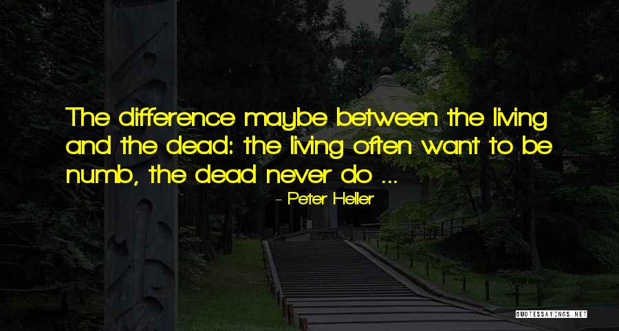 Peter Heller Quotes 1937712 Peter Heller Quotes 1937712