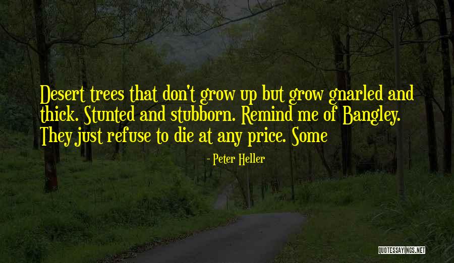 Peter Heller Quotes 788140 Peter Heller Quotes 788140