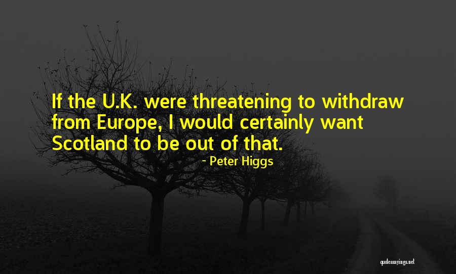 Peter Higgs Quotes 1491975